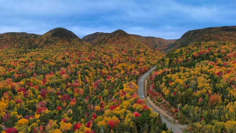 A road winding through Cape Breton highlands in full autumn colour — community photography contest entry