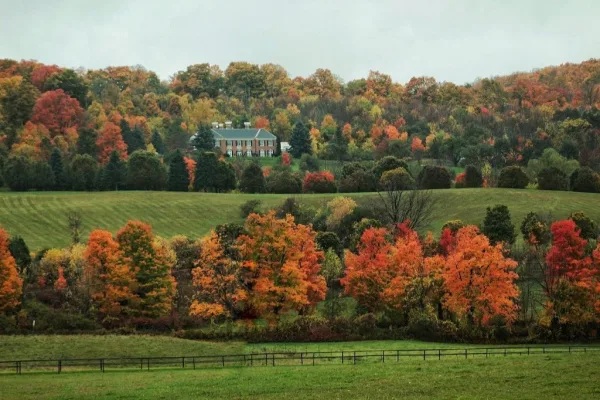 A misty autumn hillside with a farmhouse, photographed by a community member