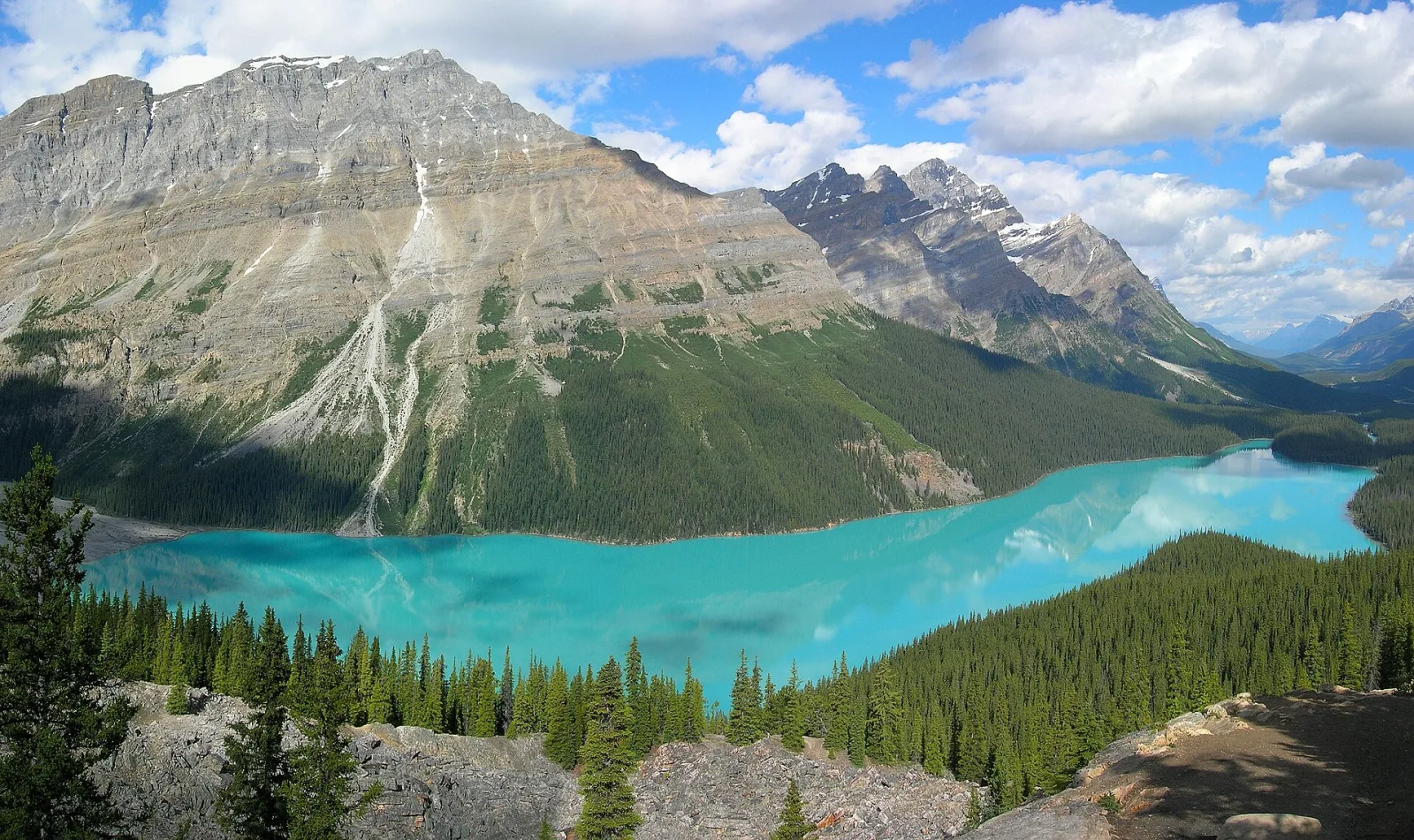 The turquoise waters of Peyto Lake in Banff National Park, Alberta